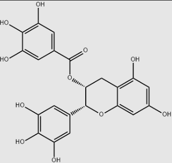 (-)-Epigallocatechin gallate#989-51-5