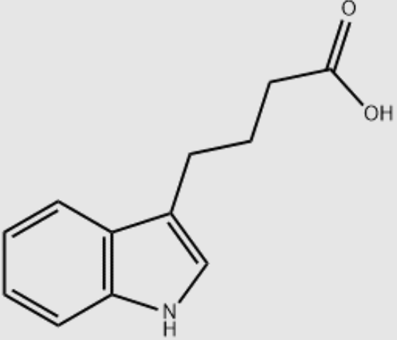 Indole-3-Butyric acid CAS# 133-32-4