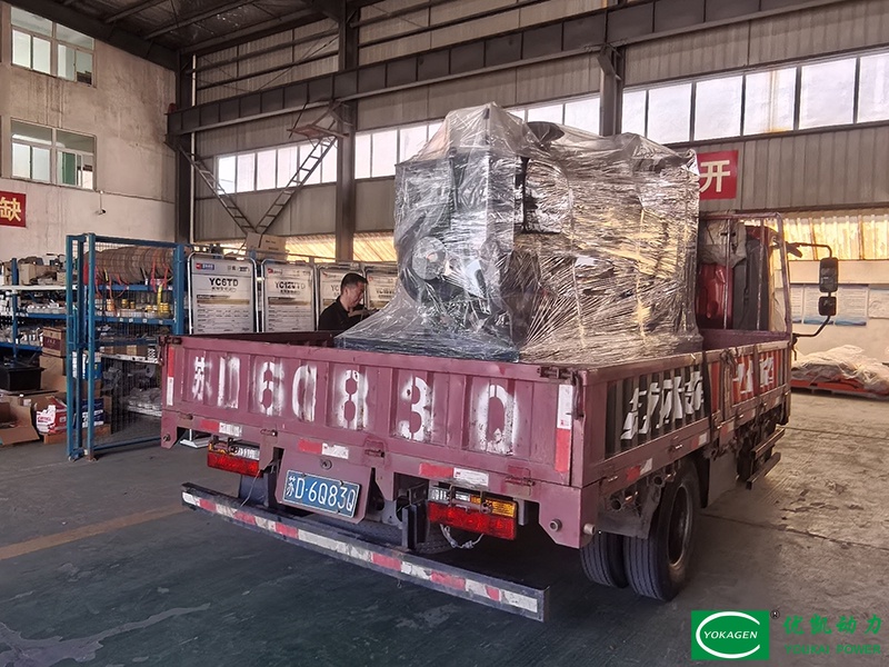 250KW Дизельный генератор Dongkang успешно отгружен