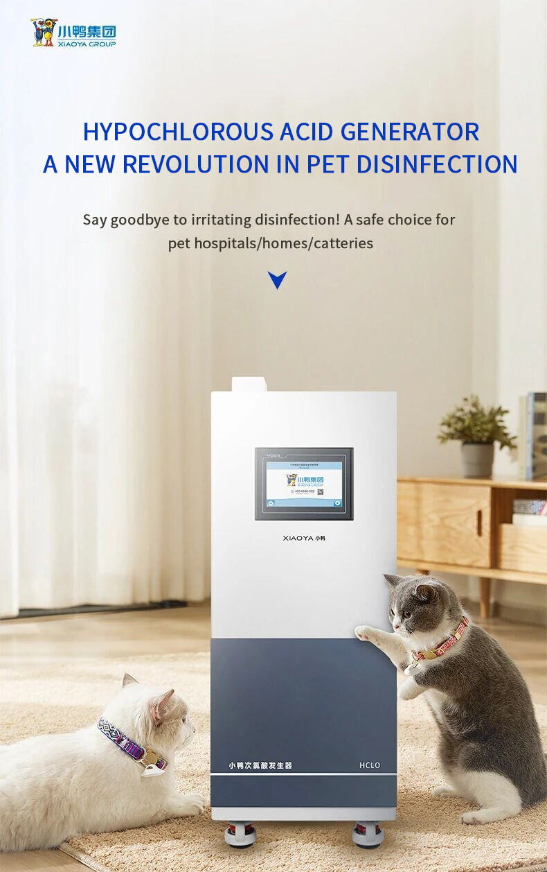 宠物新闻1 宠物新闻1