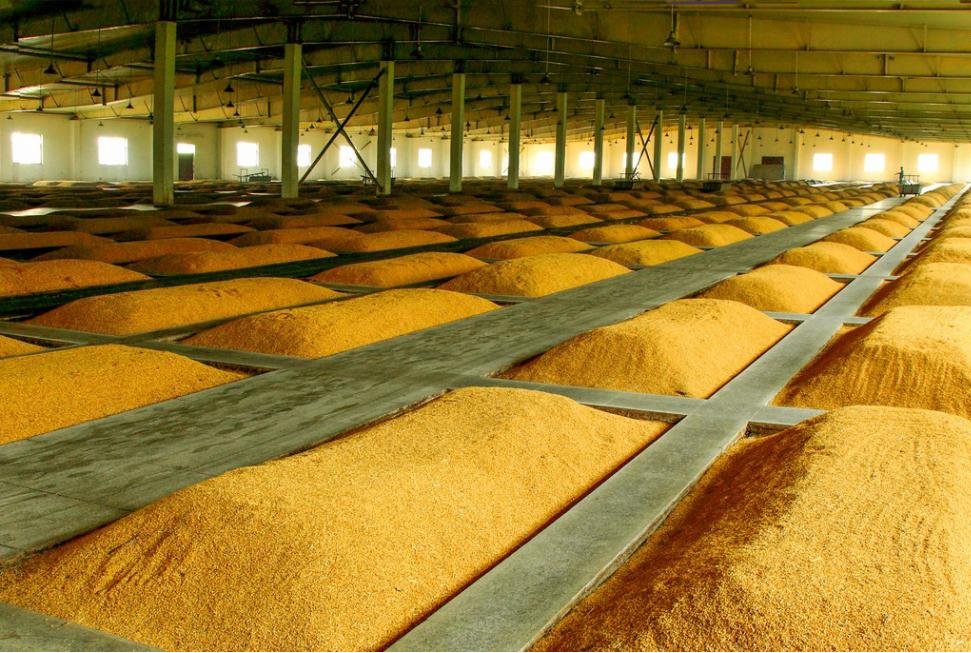 Irrigation spraying for greenhouse crops empowers agricultural production and enables green applications across multiple scenarios.