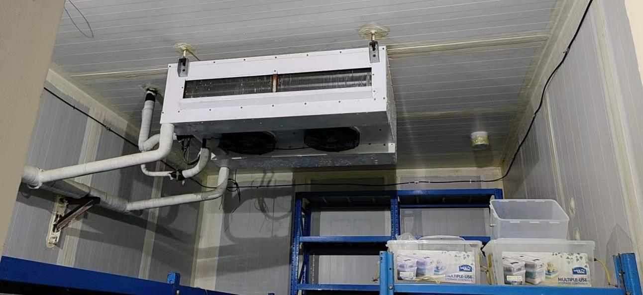 Provided an integrated solution for a research institute in Zhangqiu, combining atomized disinfection, precise preservation, and pipeline renovation. Provided an integrated solution for a research institute in Zhangqiu, combining atomized disinfection, precise preservation, and pipeline renovation.