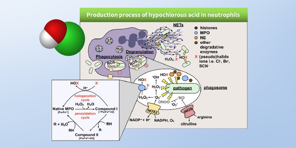 bf56be70106cdacd15069978aa6d869d bf56be70106cdacd15069978aa6d869d
