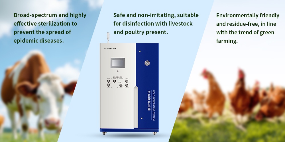Best Disinfection System for Poultry Farms to Prevent Disease