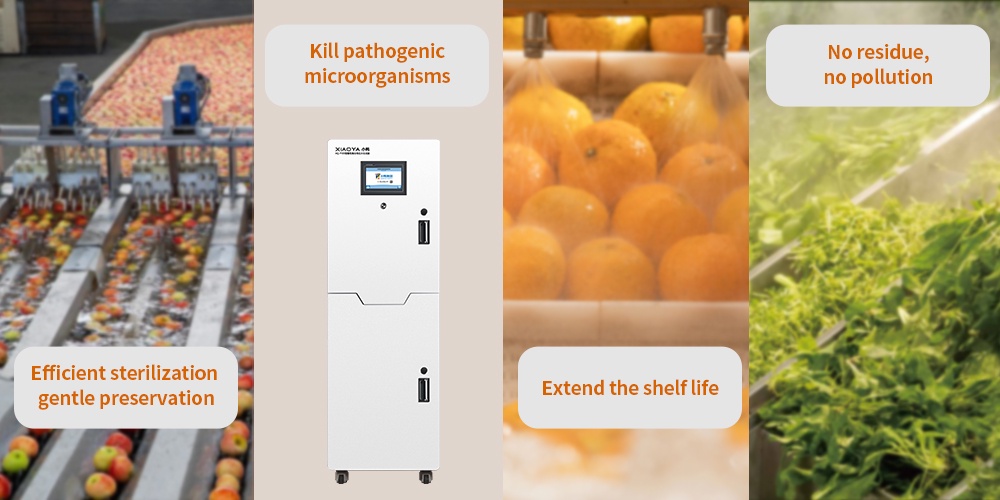 The Difference Between Hypochlorous Acid Generators and Ozone Generators for Fruit Preservation