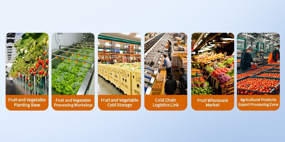 5 Common Mistakes That Reduce Fruit Shelf Life in Automated Storage