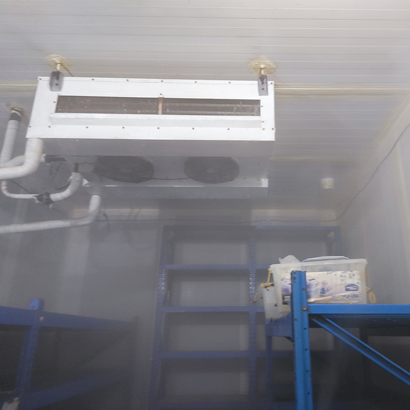 Hypochlorous Acid Generator for Fruit Fresh-keeping