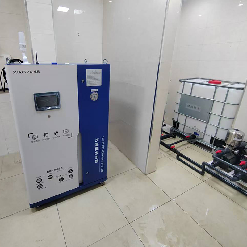 Special Hypochlorous Acid Generator for Cold Chain Transportation of Lotus Root Sprouts