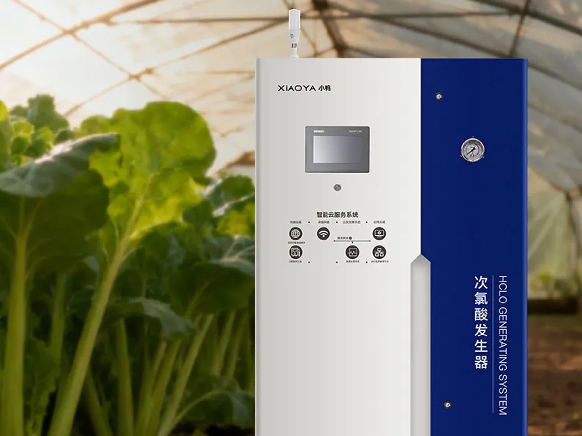 Is HClO Disinfection a Practical Option for Home Fruit and Vegetable Washing? Is HClO Disinfection a Practical Option for Home Fruit and Vegetable Washing?