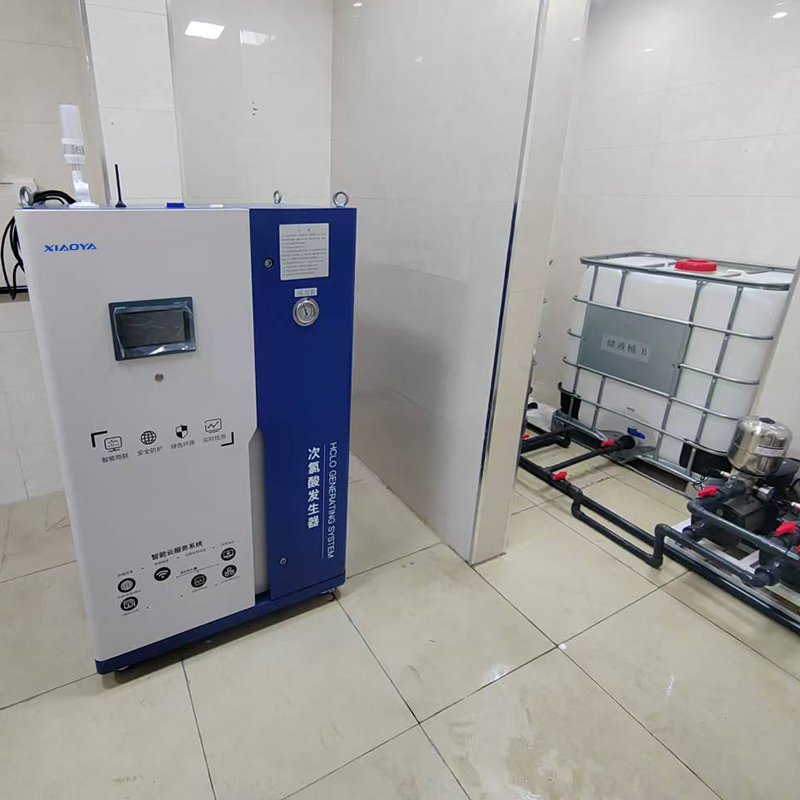 Special Hypochlorous Acid Generator for Cold Chain Transportation of Lotus Root Sprouts