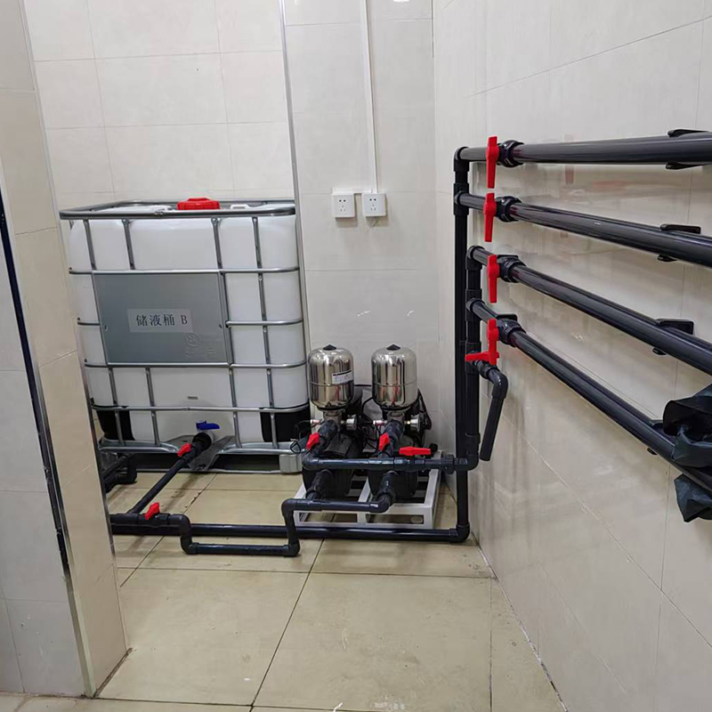 Special Hypochlorous Acid Generator for Cold Chain Transportation of Lotus Root Sprouts