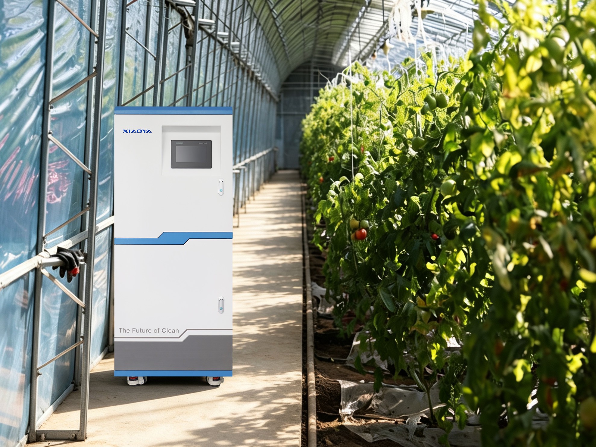 Electrolytic Salt Hypochlorous Acid Generators Help Upgrade Facility Agriculture Electrolytic Salt Hypochlorous Acid Generators Help Upgrade Facility Agriculture