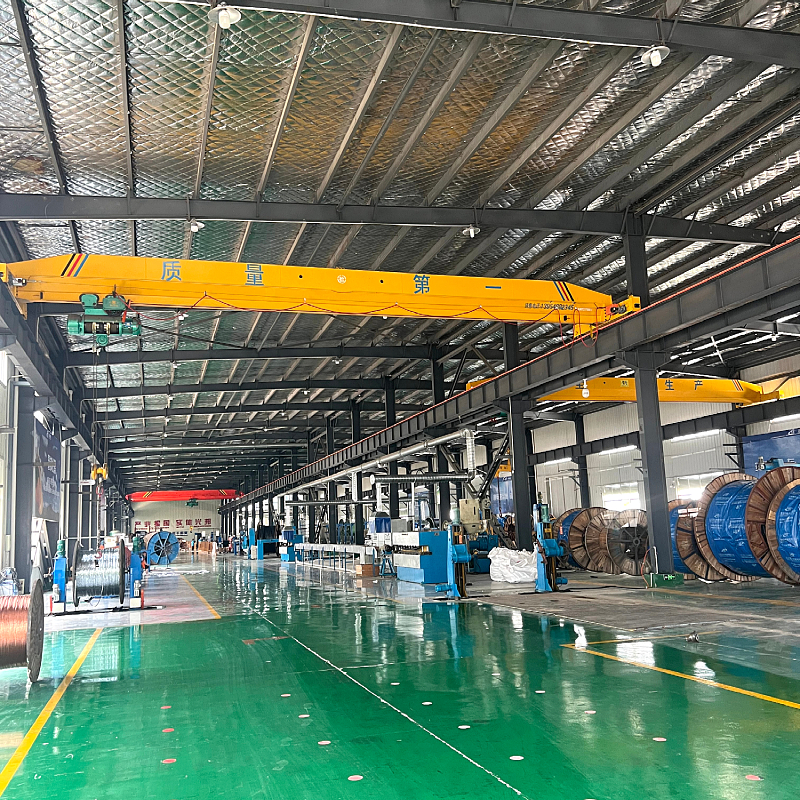 LD Electric Single-Girder Bridge Crane
