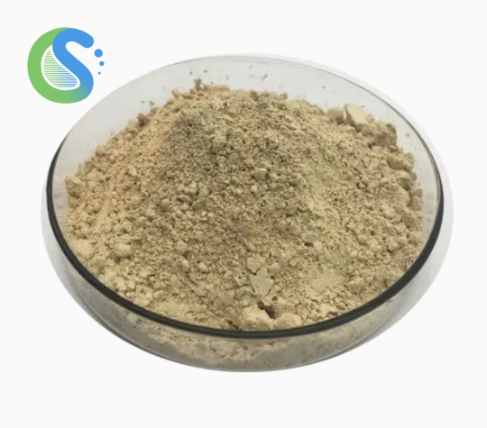 Diatomaceous Earth Synthetic Resin CAS 61790-53-2
