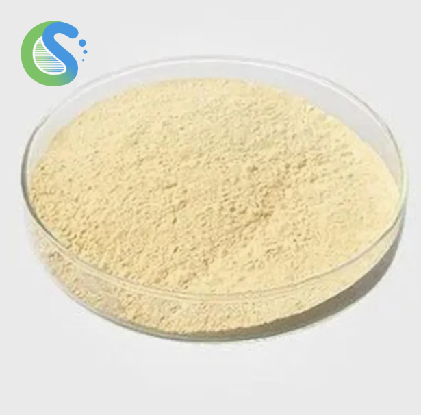 Diatomaceous Earth Synthetic Resin CAS 61790-53-2