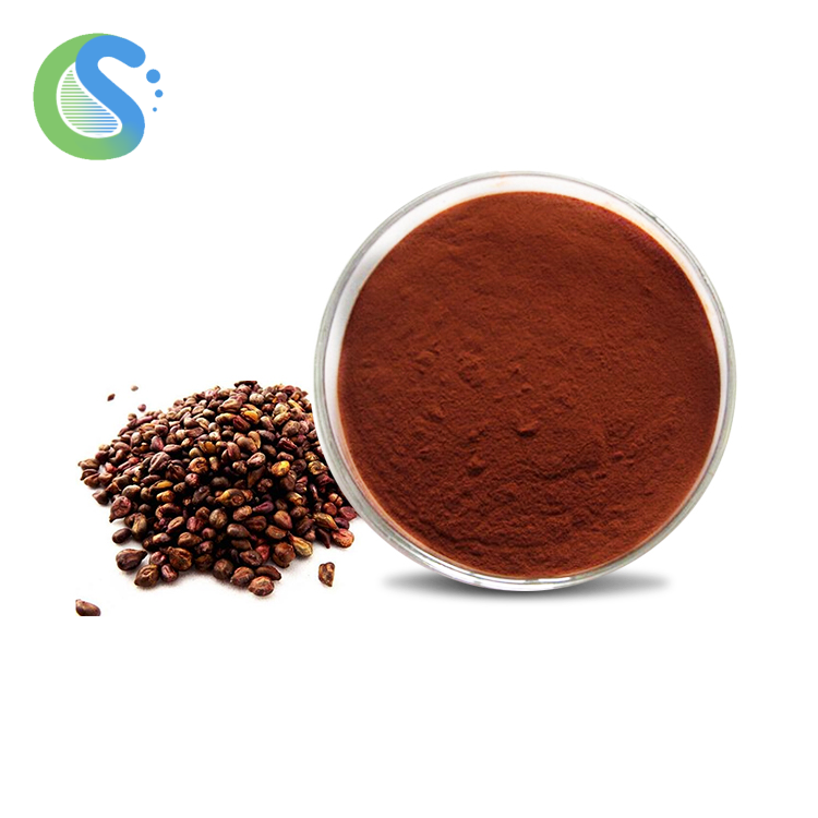 Grape Seed Extract #84929-27-1