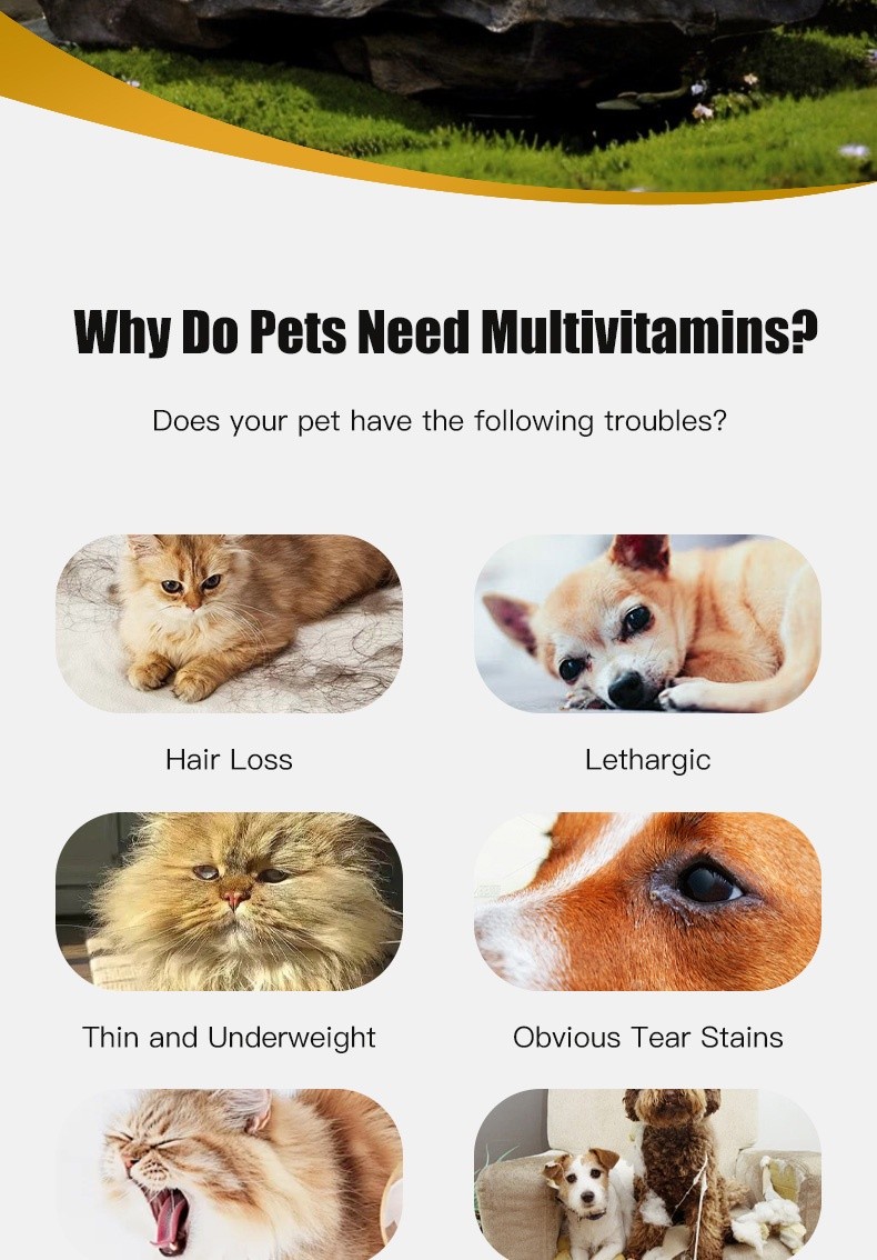 D-复合维生素片_02