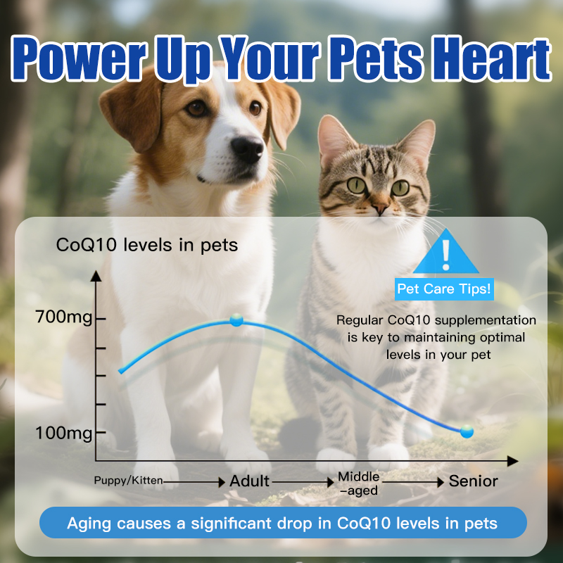 Heart-Protecting Tablets for Dogs & Cats