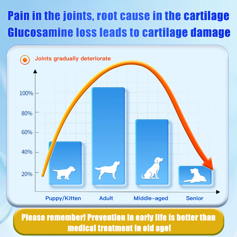 Pet Supplements & Health Care - Shark Cartilage Tablets for Dogs, Calcium Tablets for Cats