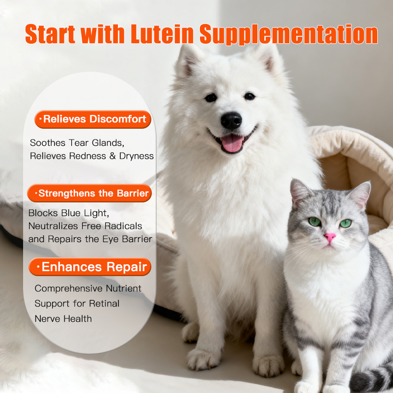 Pet Vitamin Supplement for Tear Stain Relief | Blueberry & Lutein for Vision Health, Eye Fatigue Prevention for Dogs & Cats