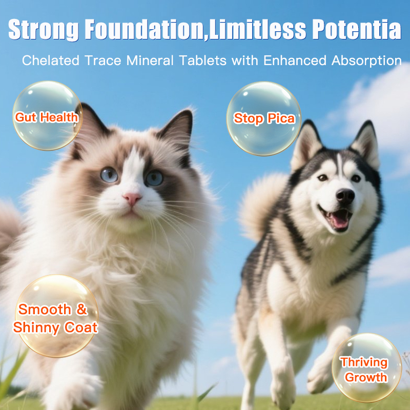 Pet Supplements: Multi-Trace Element Tablets for Dogs & Cats, Anti-Pica Chewable, Calcium Tablets for Dogs, Nutritional Support