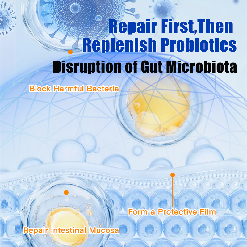 Probiotic for Pets, Specially Designed for Cats and Dogs, Supports Gastrointestinal Health. For Puppies and Kittens with Soft Stools, Diarrhea, Vomiting and Bloating. 30g/Box