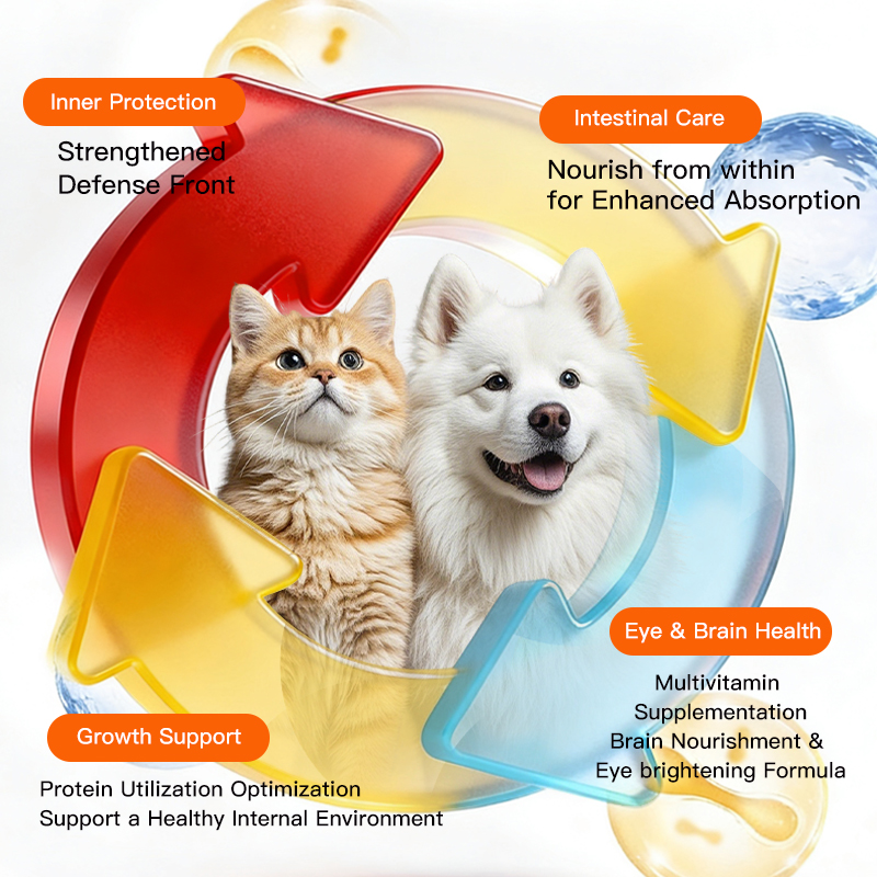 Pet Supplement: Egg Yolk Multivitamin Tablets for Dogs & Cats, Helps Reduce Shedding, Beautify Coat & Boost Immunity – 200 Tablets