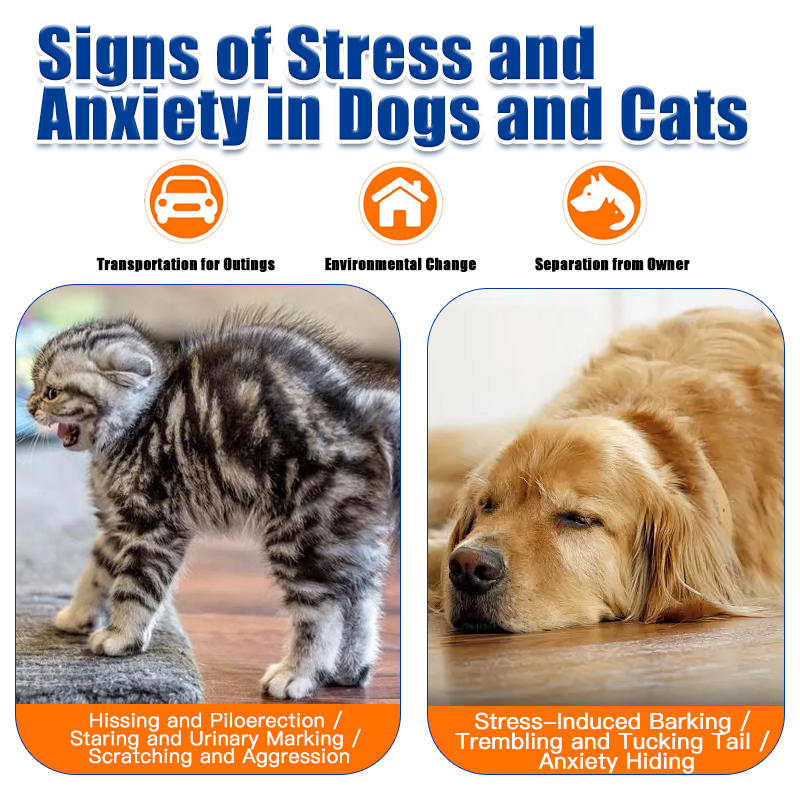 Pet Calming Anti-Stress Tablets for Dogs & Cats – Soothe Mood, Reduce Estrus Urine Marking & Anxiety