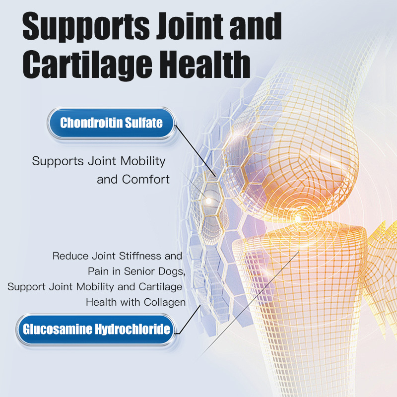 Katebes Beef & Blueberry Dog Food 2.5kg – Nutritious Fresh Meat Formula, For Adult Dogs & Puppies