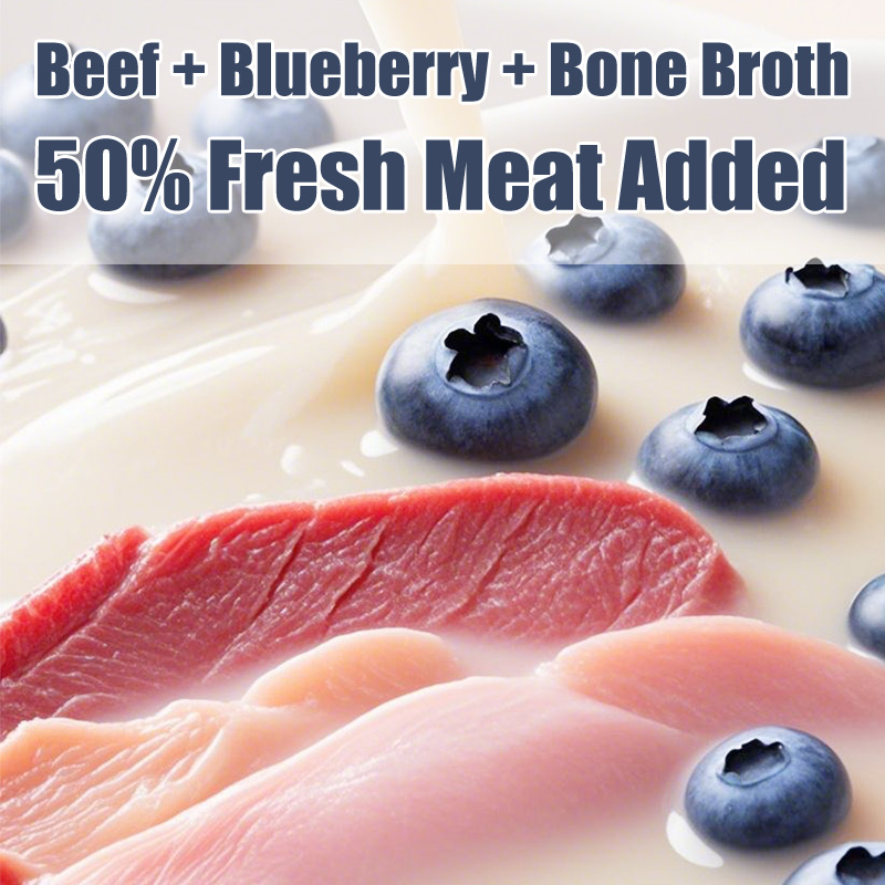 Katebes Beef & Blueberry Dog Food 2.5kg – Nutritious Fresh Meat Formula, For Adult Dogs & Puppies