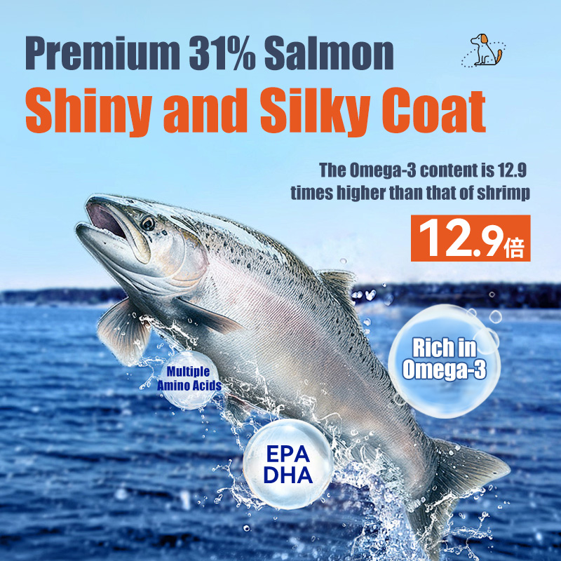 Full-Stage Complete Dog Food 2.5kg, Salmon & Purple Sweet Potato Formula, Suitable for Adult Dogs & Puppies (5.5 lbs)