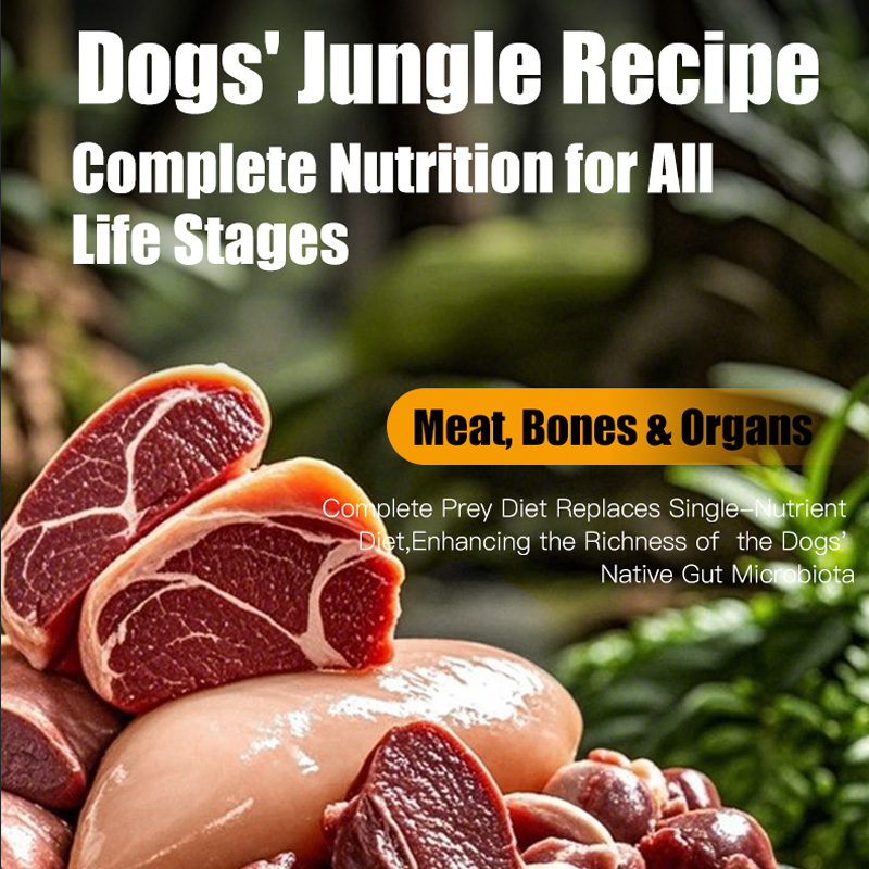 Kissbaby Fresh Meat Crunchy Dog Food, Complete Nutrition Dog Food for Small & Medium Dogs (Teddy, Bichon) & Large Breeds – 5 lbs