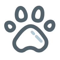 For product inquiries, please click here.