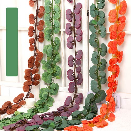 Eucalyptus Leaf Vine