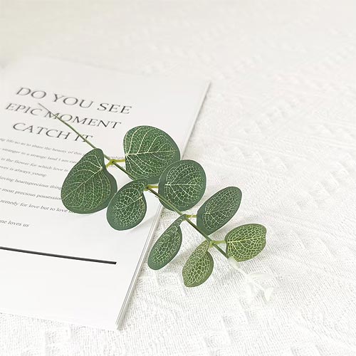 Single Stem Money Plant