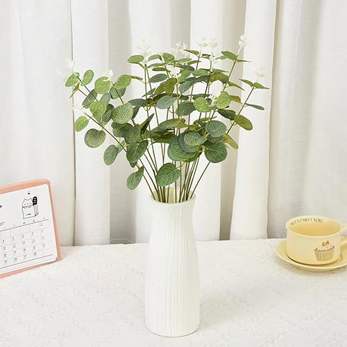 Single Stem Money Plant