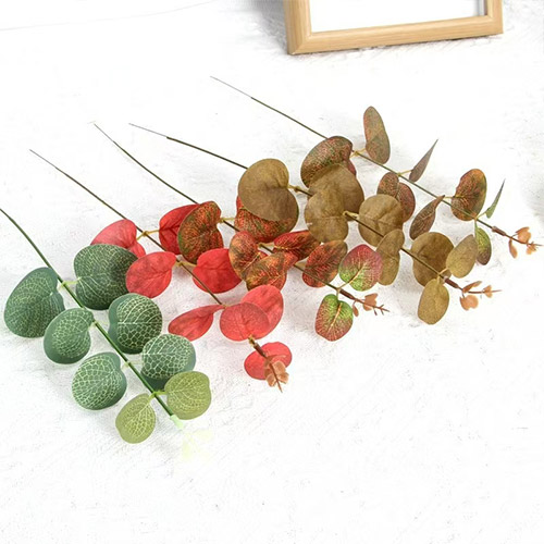 Single Stem Money Plant