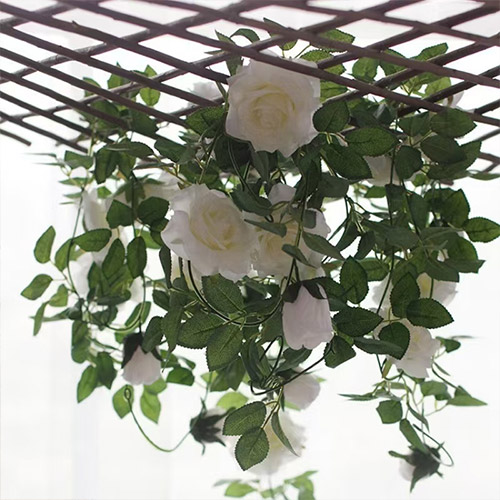 White Rose Vine