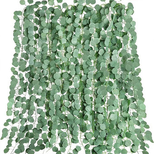 Eucalyptus Leaf Vine