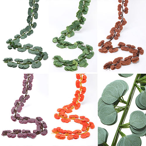 Eucalyptus Leaf Vine