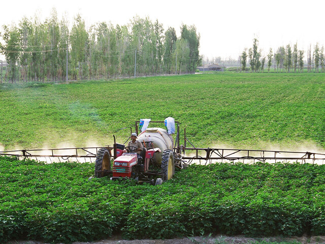 Is spraying foliar fertilizer on crops more effective than conventional fertilizer?