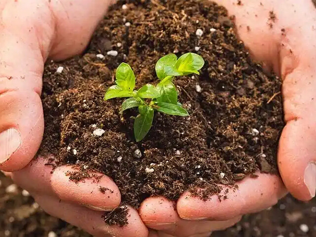 How to use trace element fertilizers?