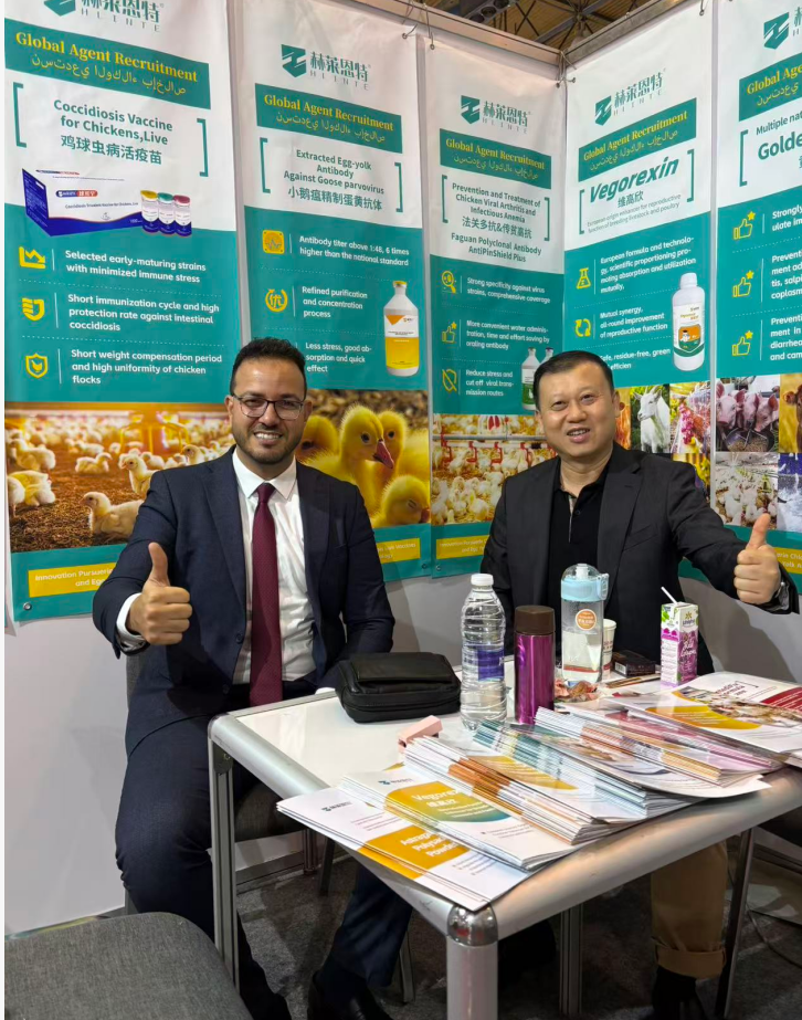 Radiating MENA - Tianjin Hlinte Blazes a New Trail at AGREN Egypt 2025