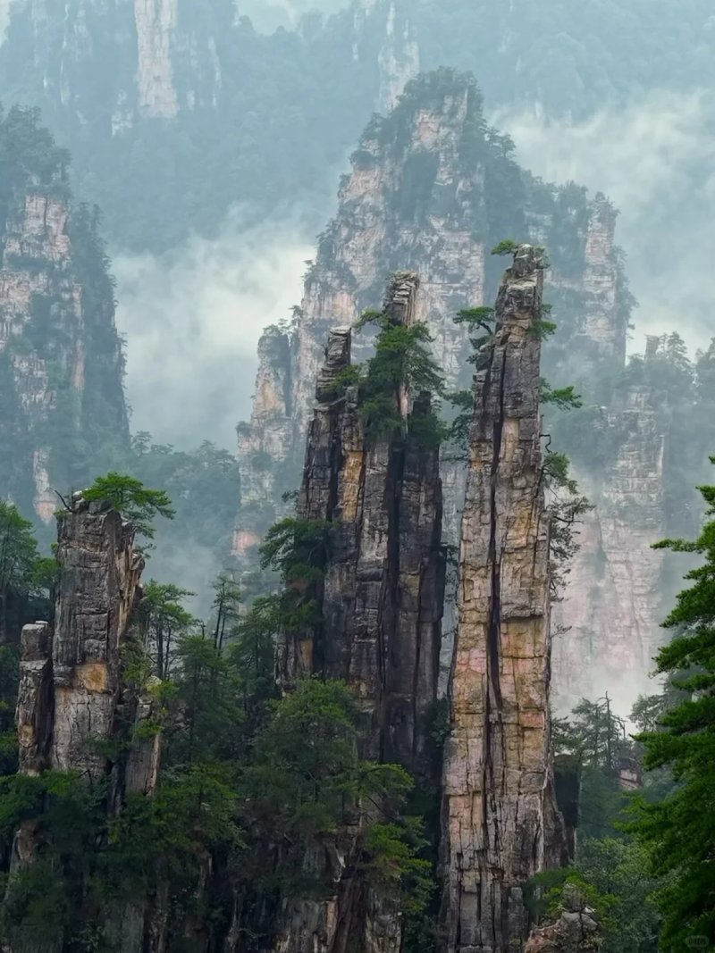 Zhangjiajie Zhangjiajie