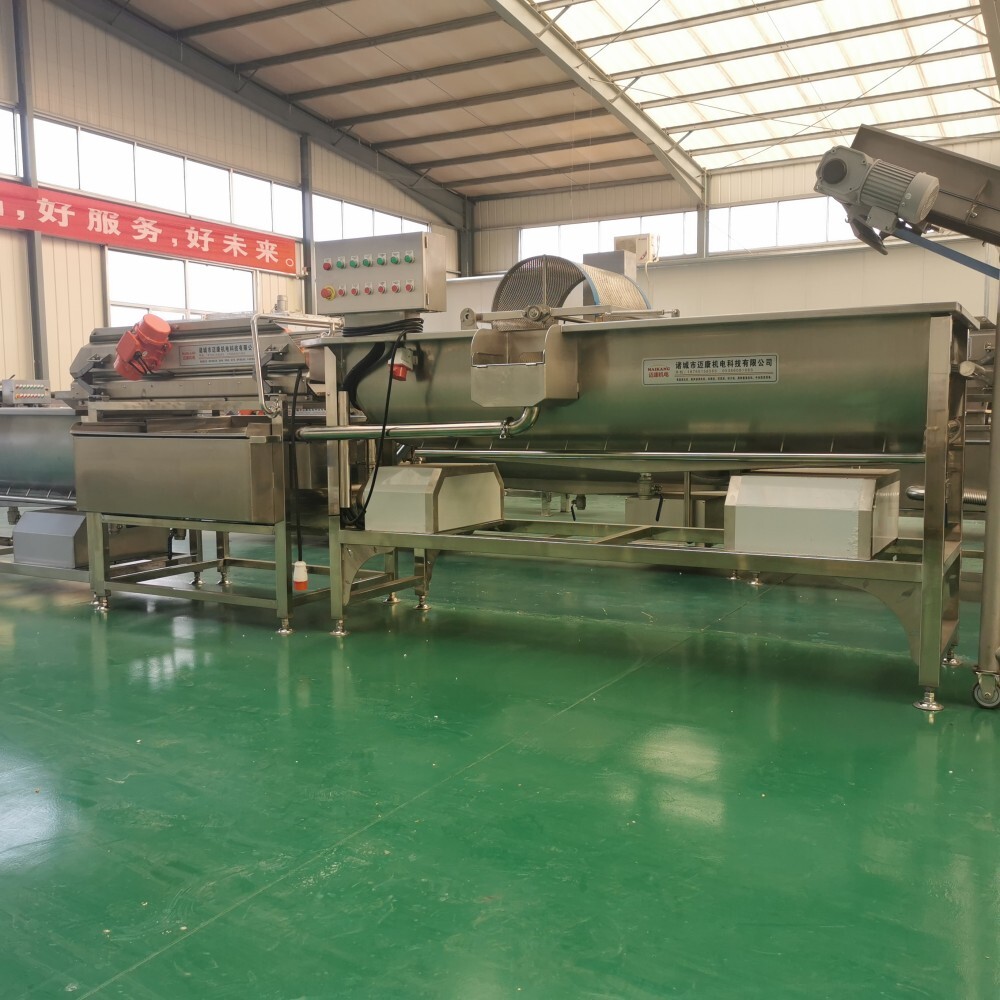 How a Vortex Washing Machine Protects Fragile Leafy Vegetables During Washing