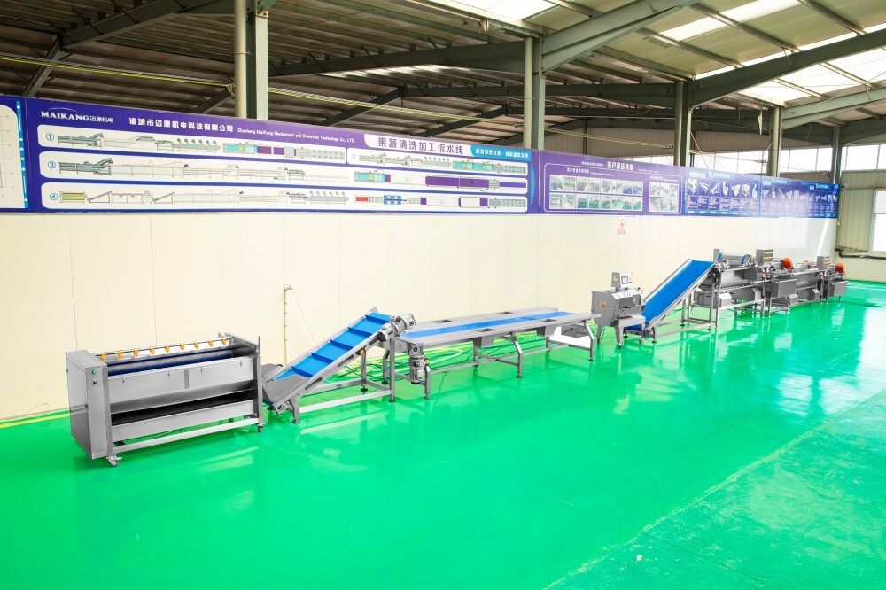 How to Build a Vegetable Processing System Step by Step