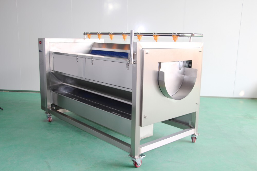 How a Vegetable Peeling Machine Producer Handles Custom Line Requirements