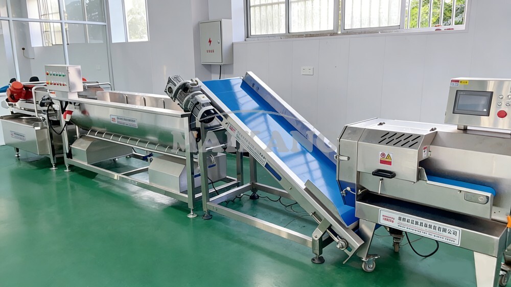 Vortex Washing Machine