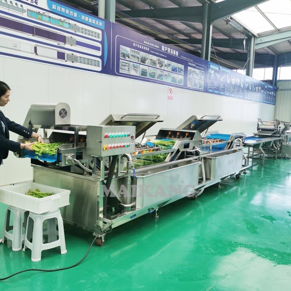 Non-destructive Vegetable Spray Washer