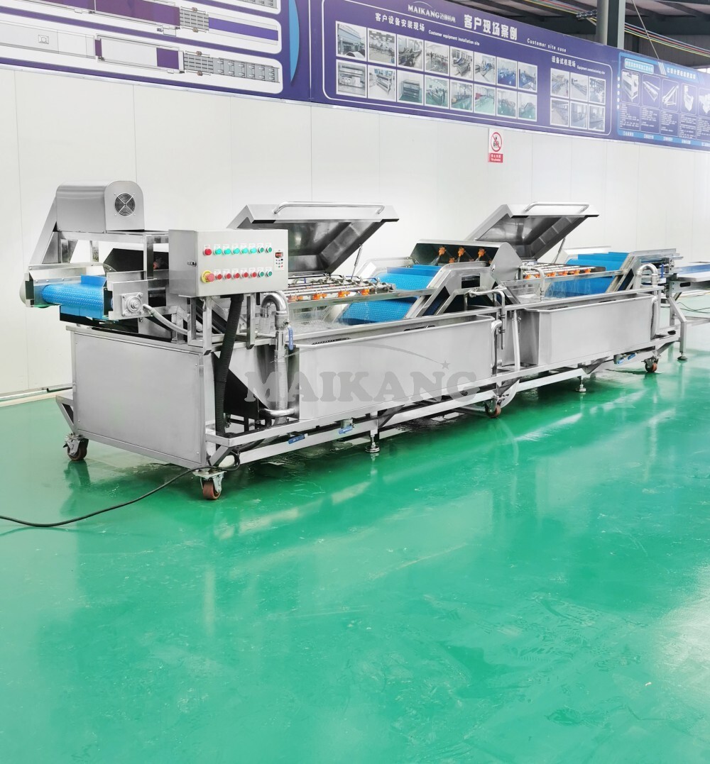 Non-destructive Vegetable Spray Washer